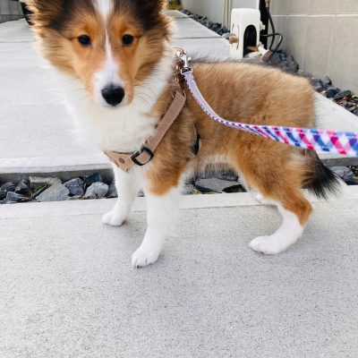 @sena1107_luke0905 - R⤓Download